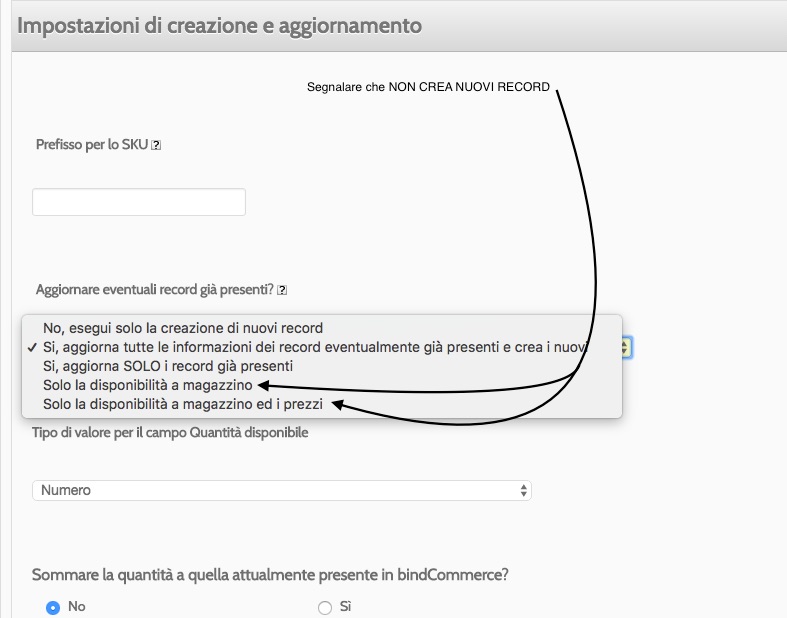 opzioneaggiornamentoimportazionefilebindcommerce.jpg